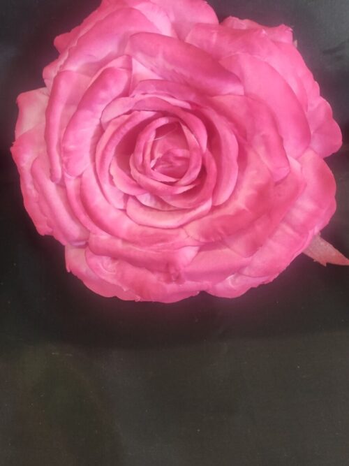 Rosa teñida fucsia